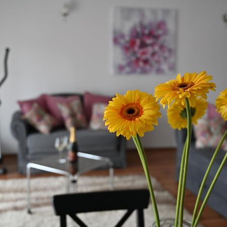 Apartmani Lucija Ludbreg 外观 照片