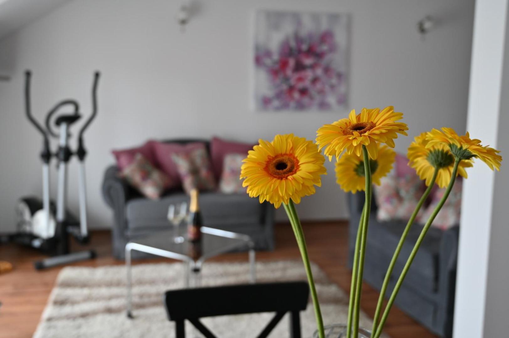 Apartmani Lucija Ludbreg 外观 照片